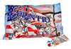 God & Country Old-Fashioned Red, White & Blue Soft Mint, 50 Pieces