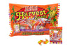 Jesus Harvest Orange, Yellow & White Candy Corn Promise Seeds, 15 Count